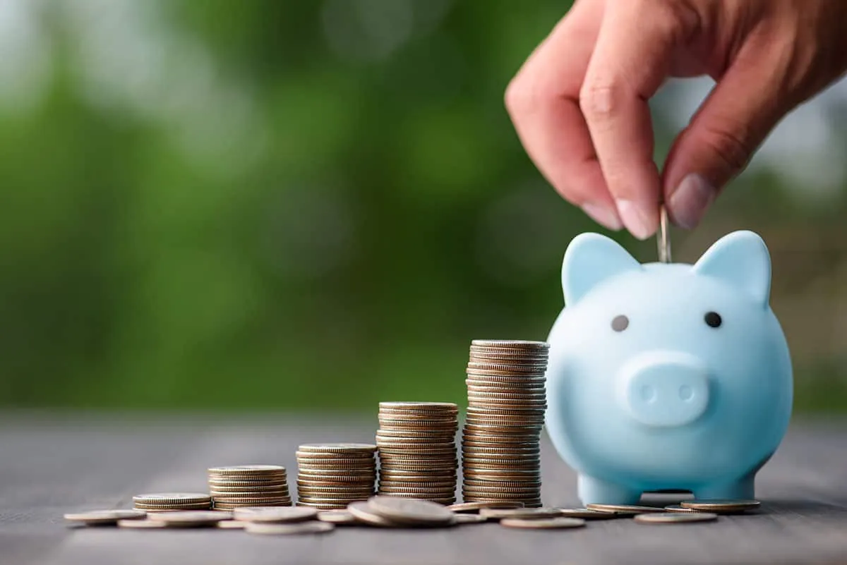 piggy bank, IRS Allowable living expenses